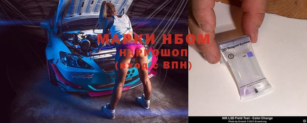 амф Арсеньев