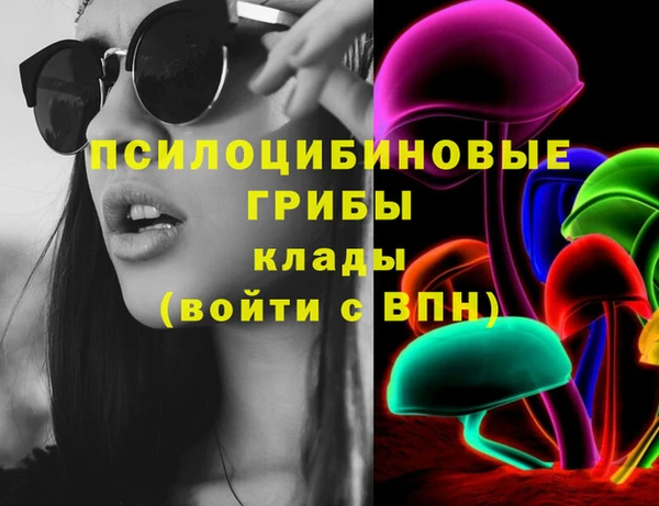 ПСИЛОЦИБИНОВЫЕ ГРИБЫ Алзамай