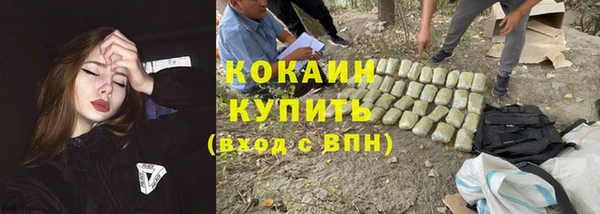 гашик Алексеевка