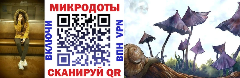 Галлюциногенные грибы MAGIC MUSHROOMS  наркотики  Нестеров 